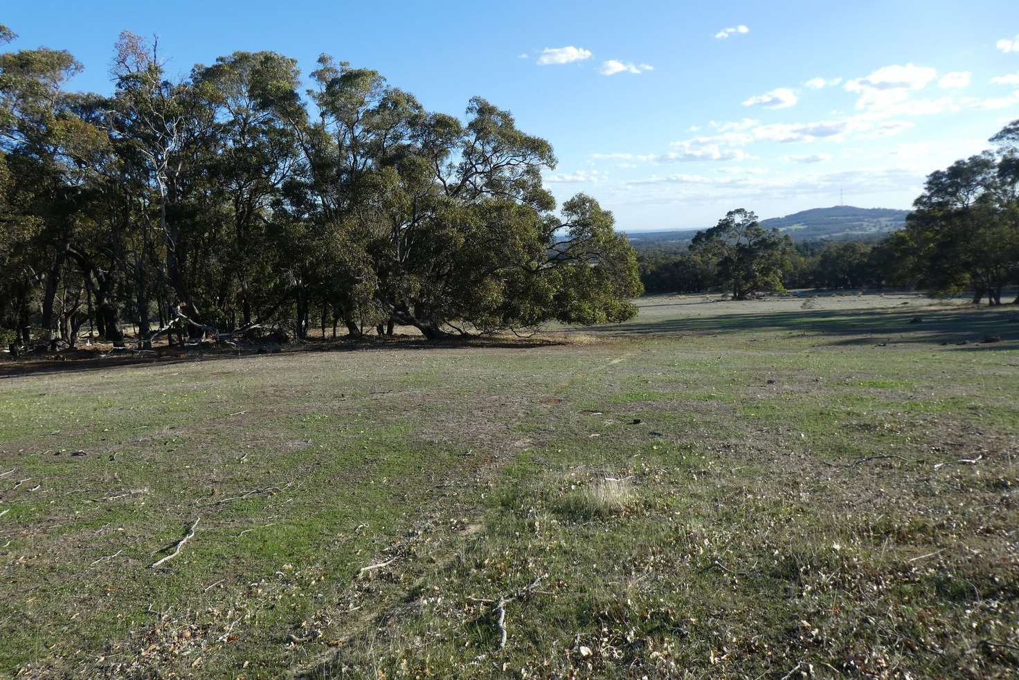 Main view of Homely residentialLand listing, 8/215 Porongurup Road, Mount Barker WA 6324