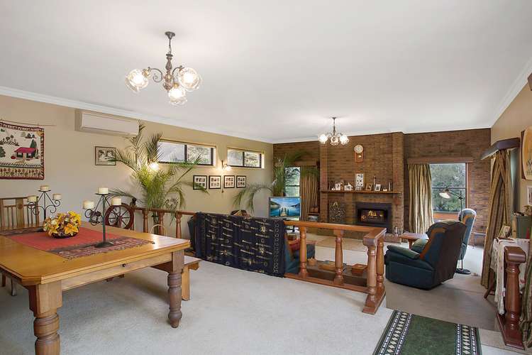 Third view of Homely house listing, 16 Park Avenue, Camperdown VIC 3260