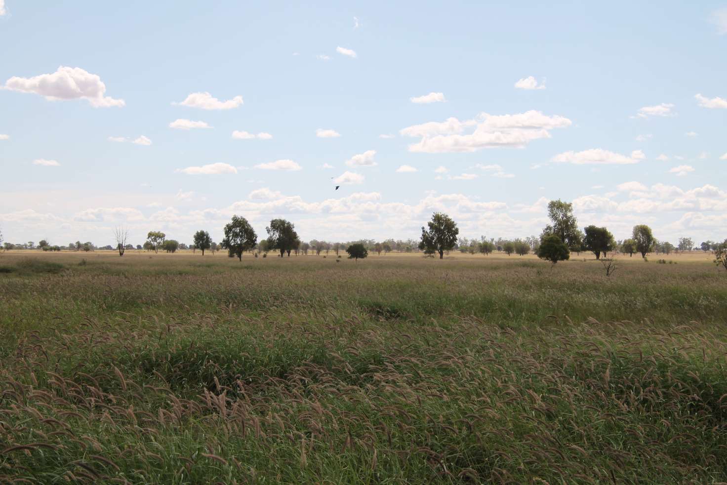 Main view of Homely ruralOther listing, 378 WEENGALLON - DAYMAR Road, Weengallon QLD 4497