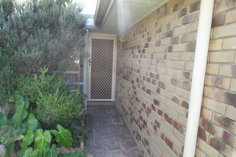 Second view of Homely house listing, 19 Percy Street, Redcliffe QLD 4020