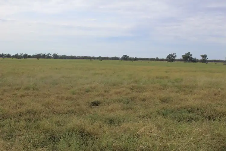 Main view of Homely rural property listing, " Amaroo Drive Blocks", Moree NSW 2400