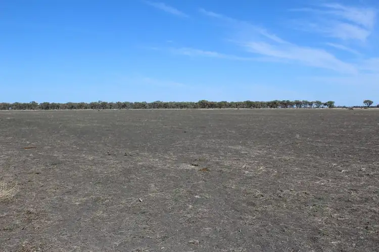 Second view of Homely rural property listing, " Amaroo Drive Blocks", Moree NSW 2400