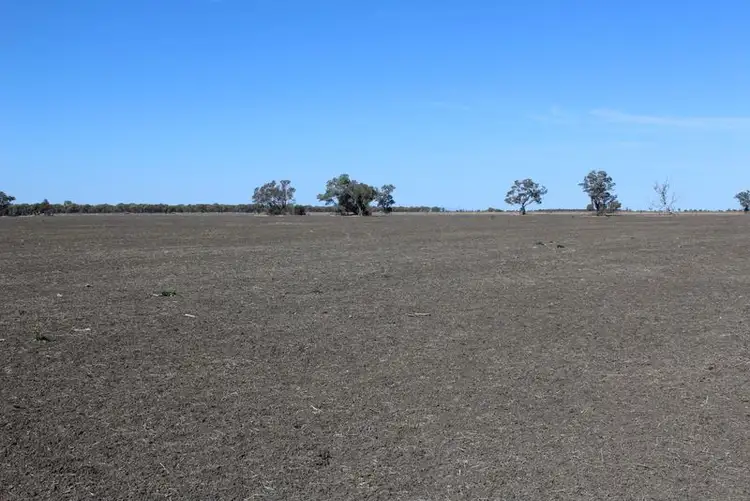Third view of Homely rural property listing, " Amaroo Drive Blocks", Moree NSW 2400