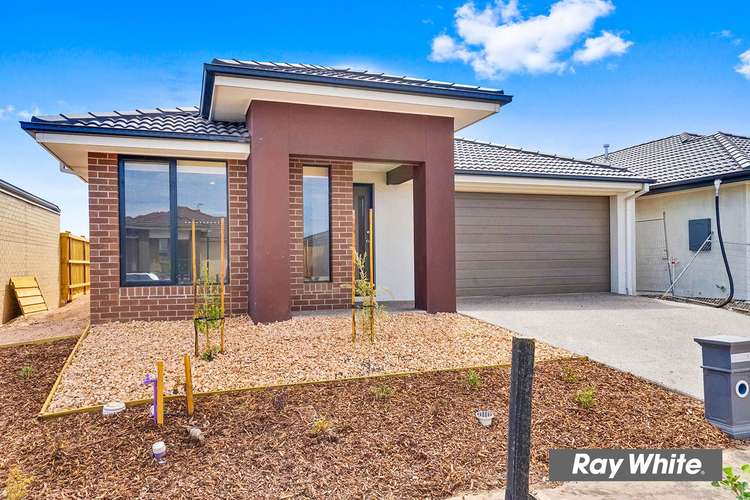 Third view of Homely house listing, 11 Grain Road, Wyndham Vale VIC 3024