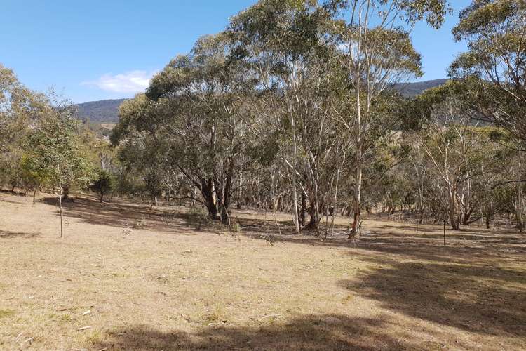 Fifth view of Homely ruralOther listing, 735 Hereford Hall Road, Braidwood NSW 2622