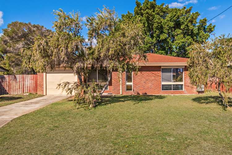 Main view of Homely house listing, 20 Willmott Drive, Cooloongup WA 6168