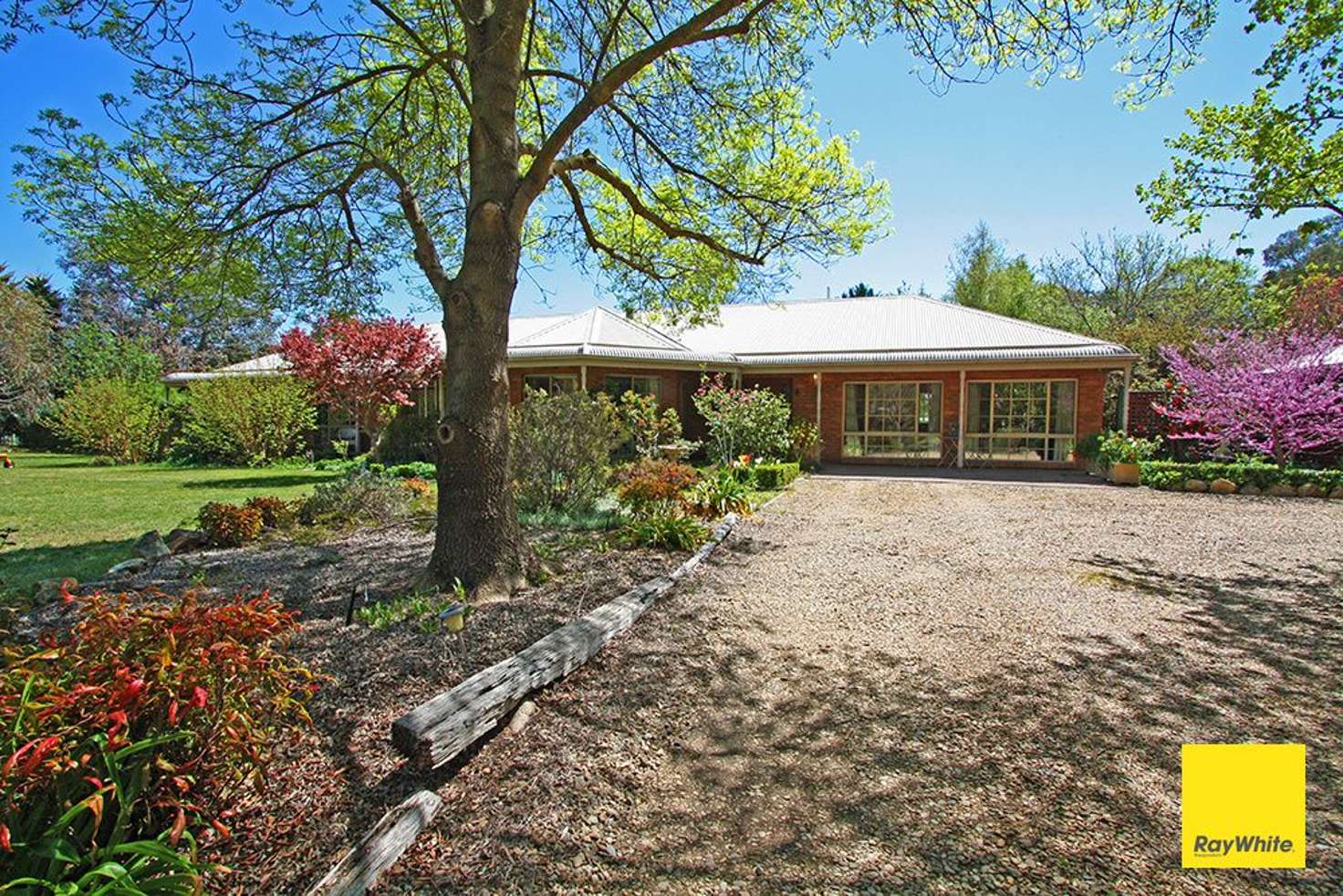 Main view of Homely house listing, 8 Elmslea Drive, Bungendore NSW 2621