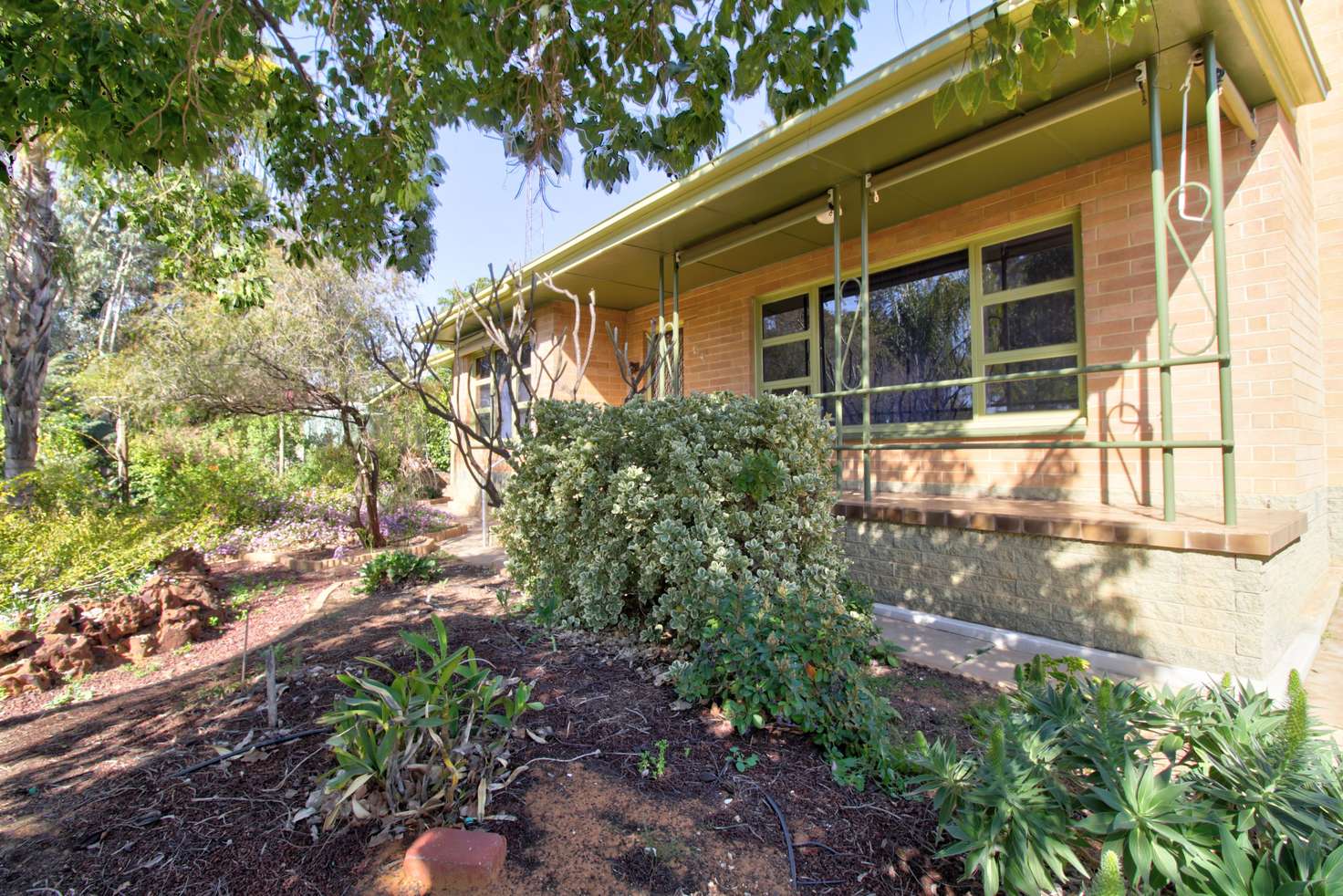 Main view of Homely house listing, 24 Nookamka Terrace, Barmera SA 5345