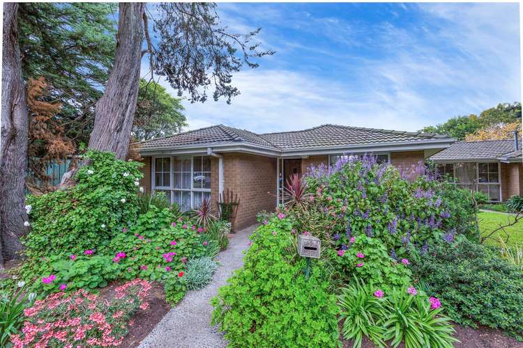 Main view of Homely unit listing, 4/54 Mt Dandenong Road, Ringwood East VIC 3135