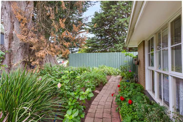 Second view of Homely unit listing, 4/54 Mt Dandenong Road, Ringwood East VIC 3135