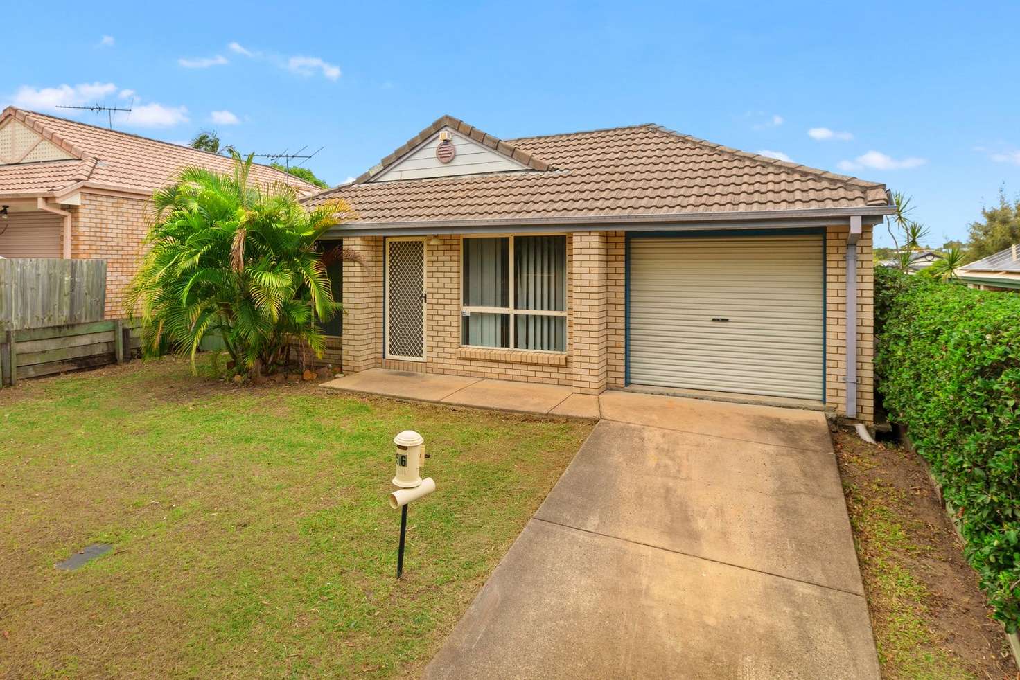 Main view of Homely house listing, 56 Limerick Street, Acacia Ridge QLD 4110