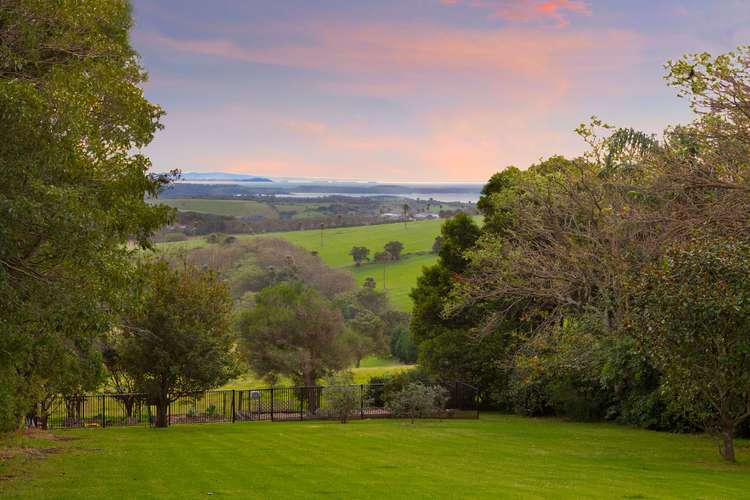 Second view of Homely ruralOther listing, 254 Saddleback Mountain Road, Kiama NSW 2533