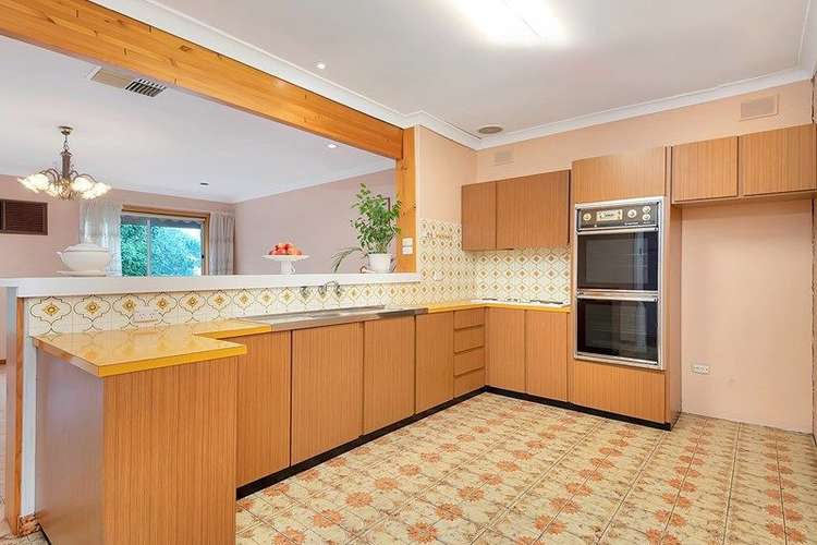 Main view of Homely house listing, 17 McShane Street, Campbelltown SA 5074