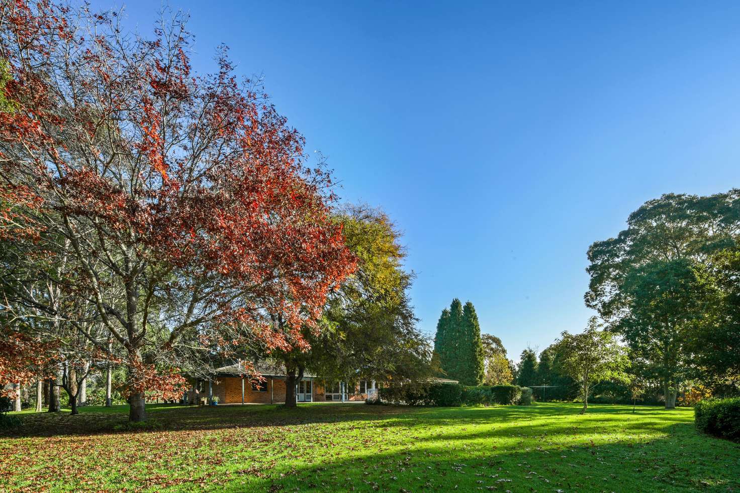 Main view of Homely acreageSemiRural listing, 19 Blacks Road, Arcadia NSW 2159