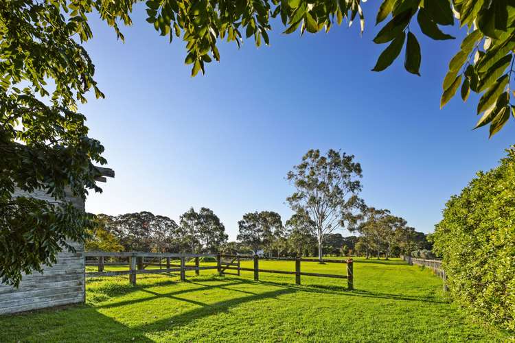 Fifth view of Homely acreageSemiRural listing, 19 Blacks Road, Arcadia NSW 2159