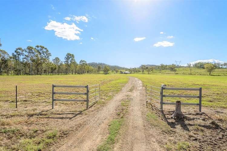 Second view of Homely house listing, 431 The Narrows Road, Mount Larcom QLD 4695