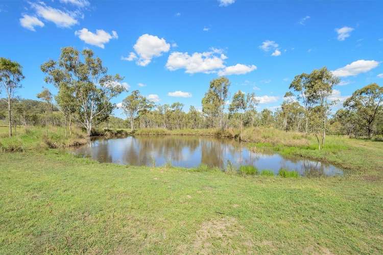 Third view of Homely house listing, 431 The Narrows Road, Mount Larcom QLD 4695