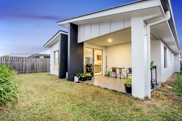 Fifth view of Homely house listing, 31 Stinson Circuit, Coomera QLD 4209