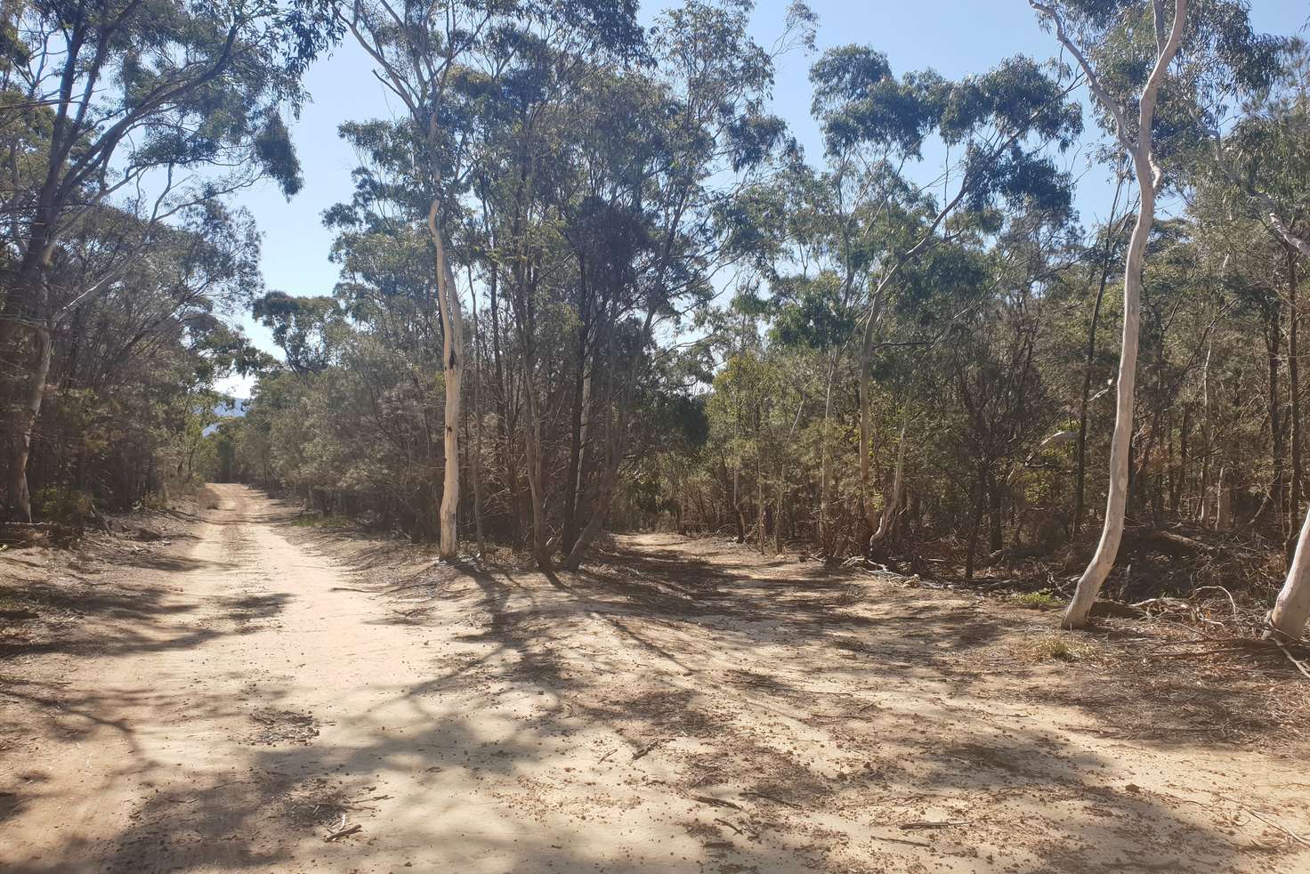 Main view of Homely ruralOther listing, 185 Bells Lane, Bendoura, Braidwood NSW 2622