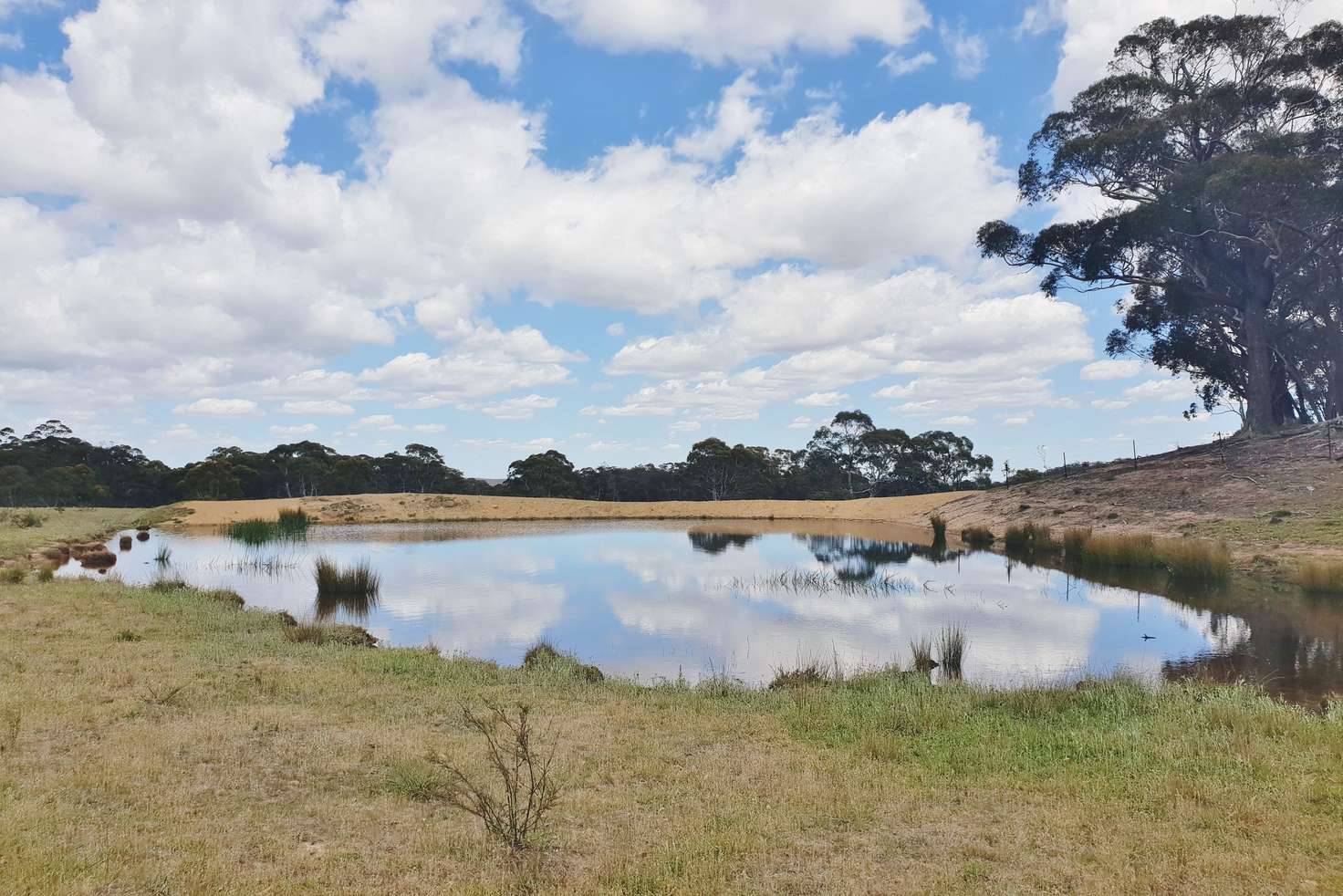 Main view of Homely ruralOther listing, 88c Kirriford, Nerriga NSW 2622