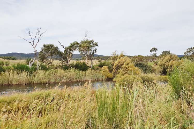 Third view of Homely ruralOther listing, 4687 Cooma Road, Braidwood NSW 2622