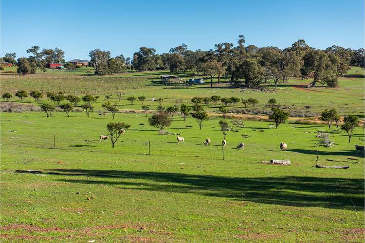 Third view of Homely residentialLand listing, 293 Morley Road, Lower Chittering WA 6084