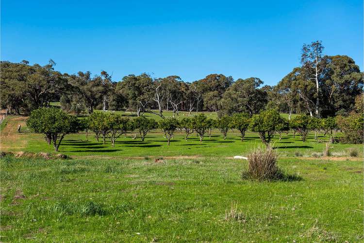 Fourth view of Homely residentialLand listing, 293 Morley Road, Lower Chittering WA 6084