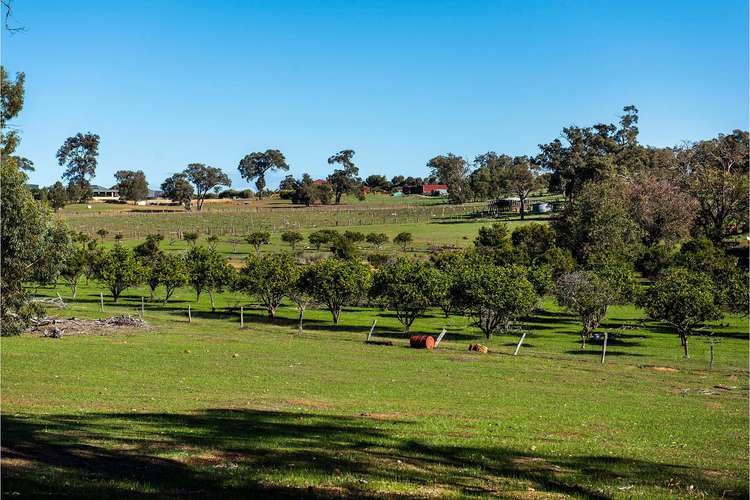 Fifth view of Homely residentialLand listing, 293 Morley Road, Lower Chittering WA 6084