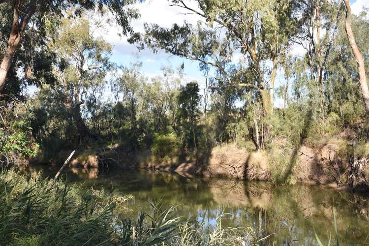 Main view of Homely residentialLand listing, 7 Jackson Grove, Moree NSW 2400