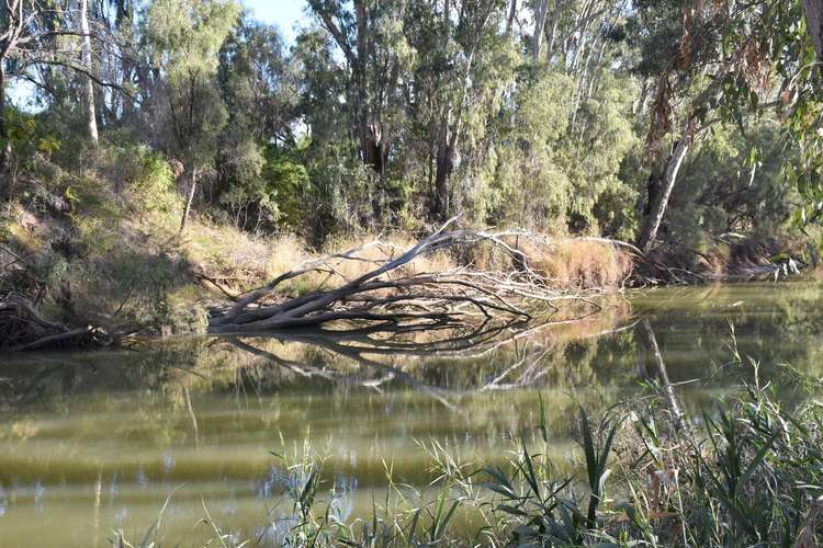 Fifth view of Homely residentialLand listing, 7 Jackson Grove, Moree NSW 2400