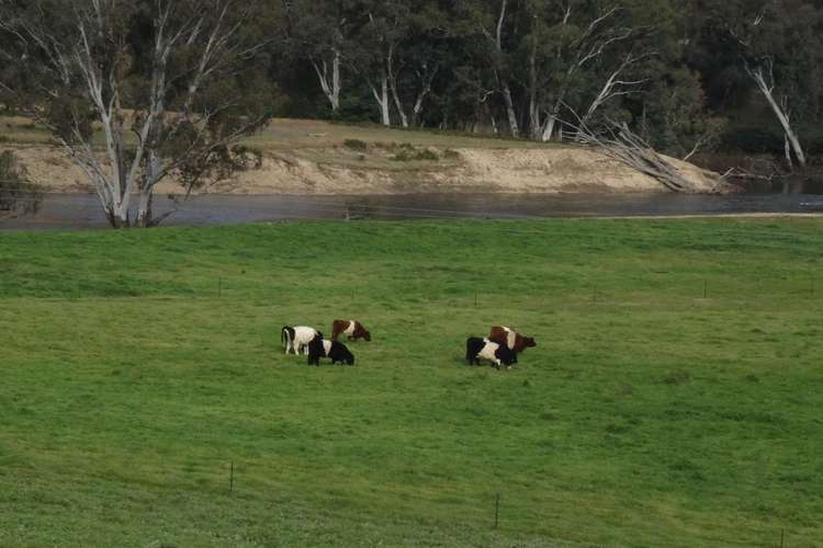 Second view of Homely ruralOther listing, 5455 River Road, Talmalmo NSW 2640