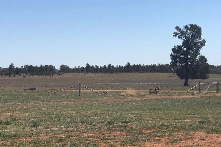 Seventh view of Homely house listing, LOT 287 Newell Highway, Trewilga NSW 2869