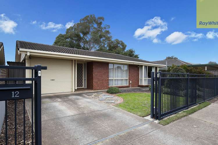 Main view of Homely house listing, 12 Victoria Avenue, Camden Park SA 5038