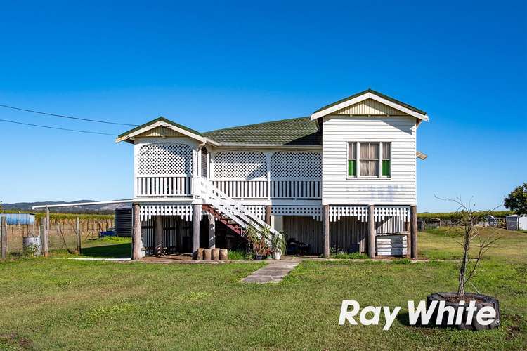 Second view of Homely acreageSemiRural listing, 262 - 264 Norwell Road, Norwell QLD 4208