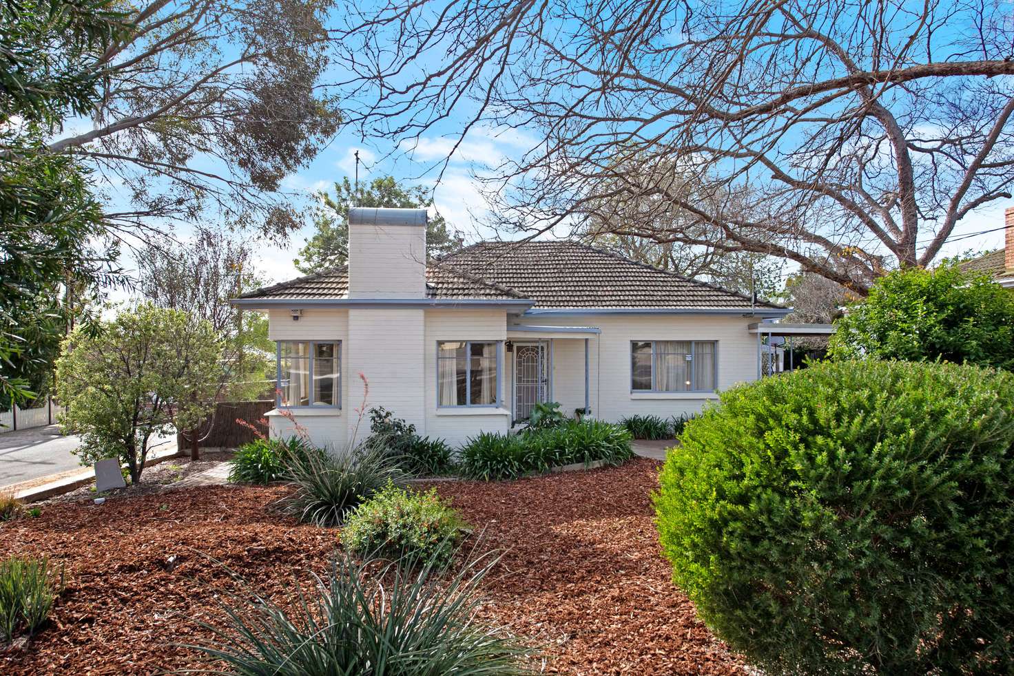 Main view of Homely house listing, 30 Boothby Street, Panorama SA 5041