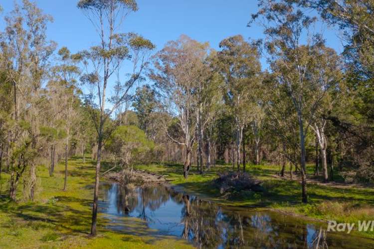 Main view of Homely residentialLand listing, 119 Grays Road, Halfway Creek NSW 2460