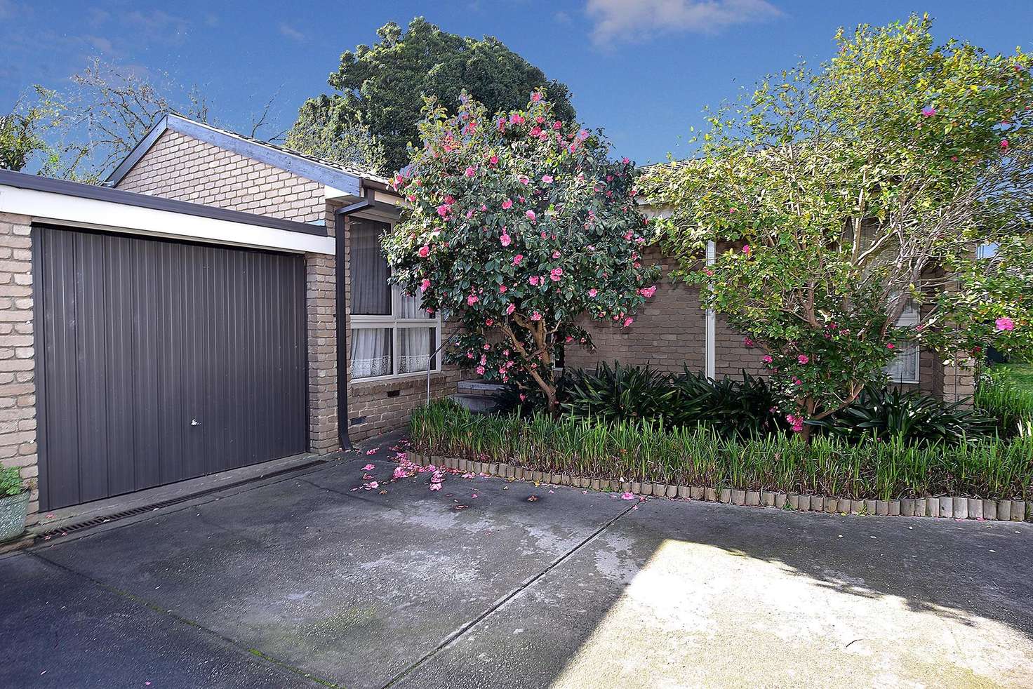 Main view of Homely unit listing, 1/37 Heatherhill Road, Frankston VIC 3199