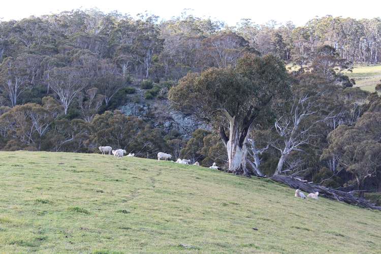 Second view of Homely ruralOther listing, 607 Jaunter Road, Oberon NSW 2787