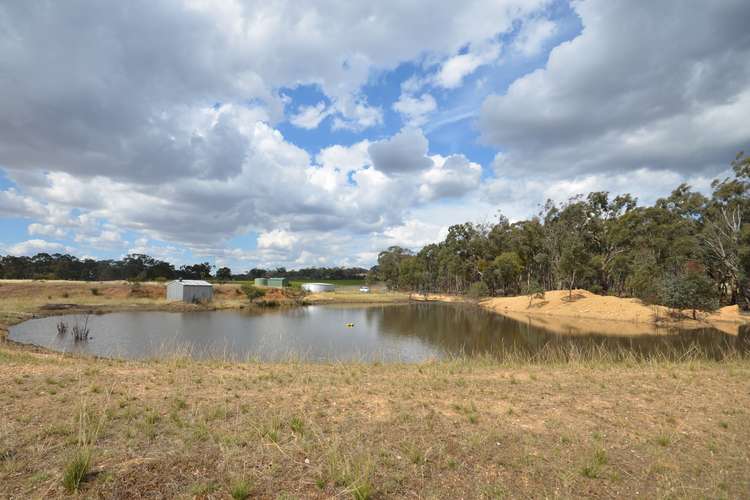 Fifth view of Homely ruralOther listing, 20 Morris Lane, Avoca VIC 3467