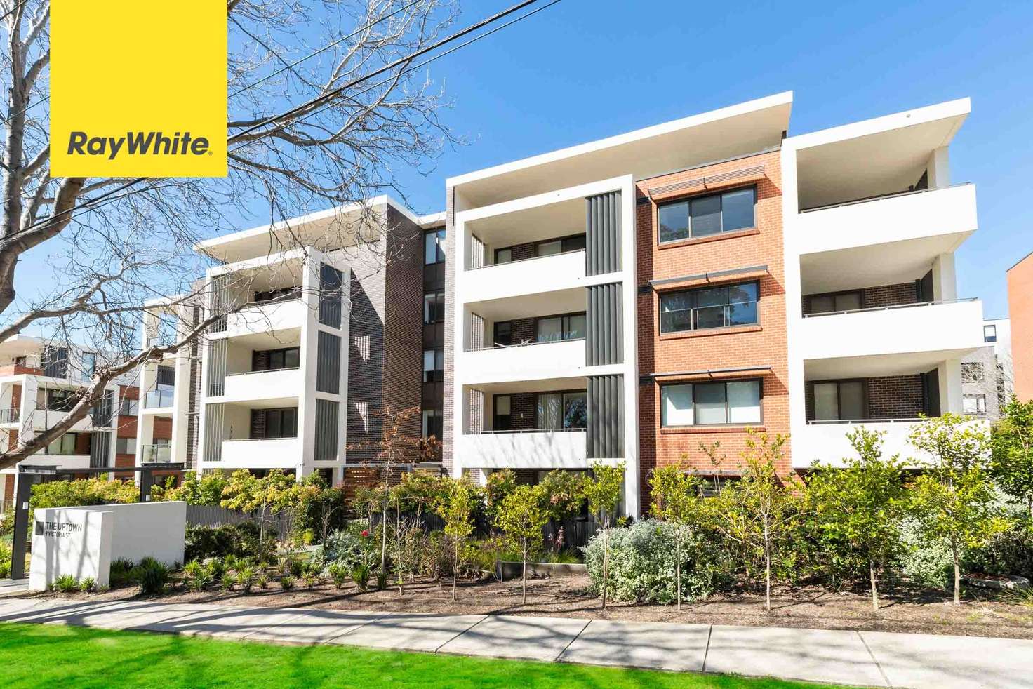 Main view of Homely apartment listing, 104/9 Victoria Street, Roseville NSW 2069