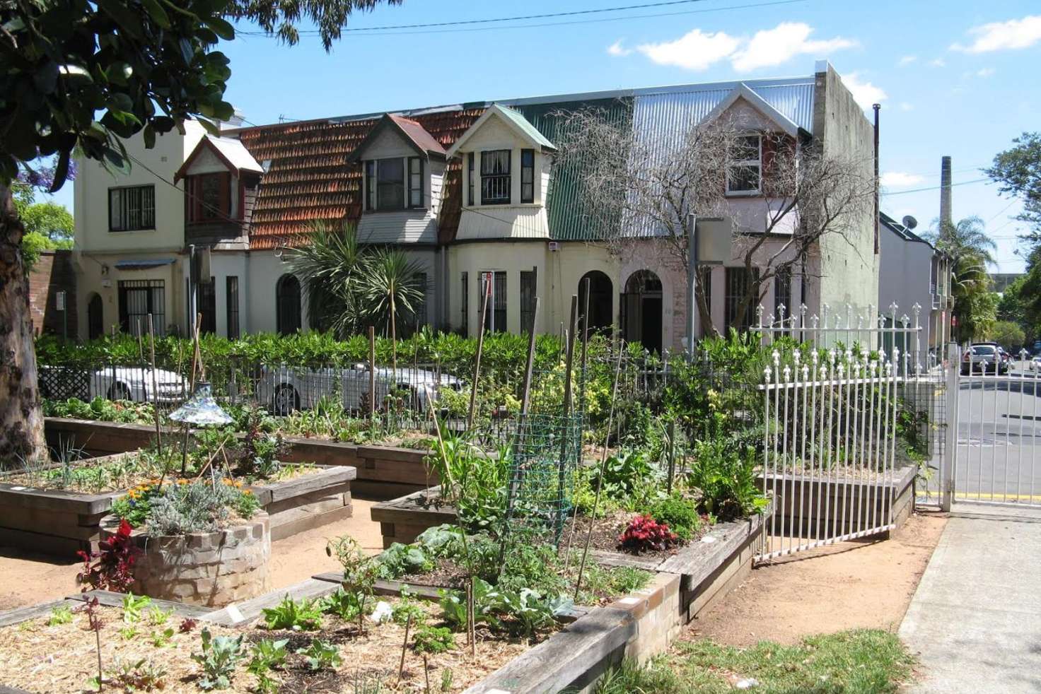 Main view of Homely house listing, 6 Longdown Street, Newtown NSW 2042