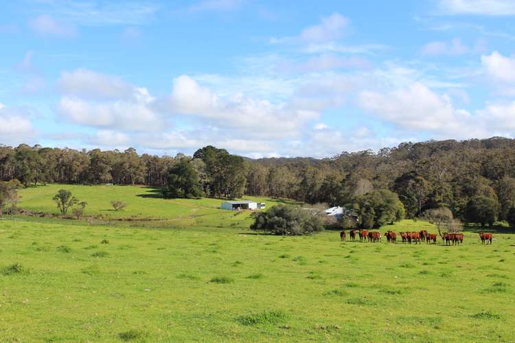 Second view of Homely ruralOther listing, 623 Scotsdale Road, Denmark WA 6333