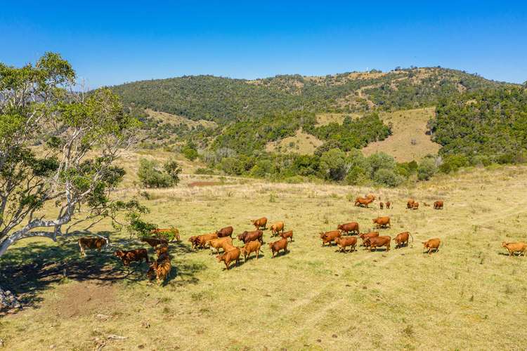 Main view of Homely ruralOther listing, Lot 86 Kanigan Road, Kanigan QLD 4570