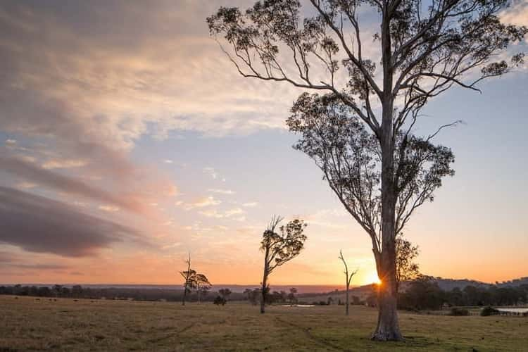 Fourth view of Homely house listing, 6 Olive Hill Drive, Cobbitty NSW 2570