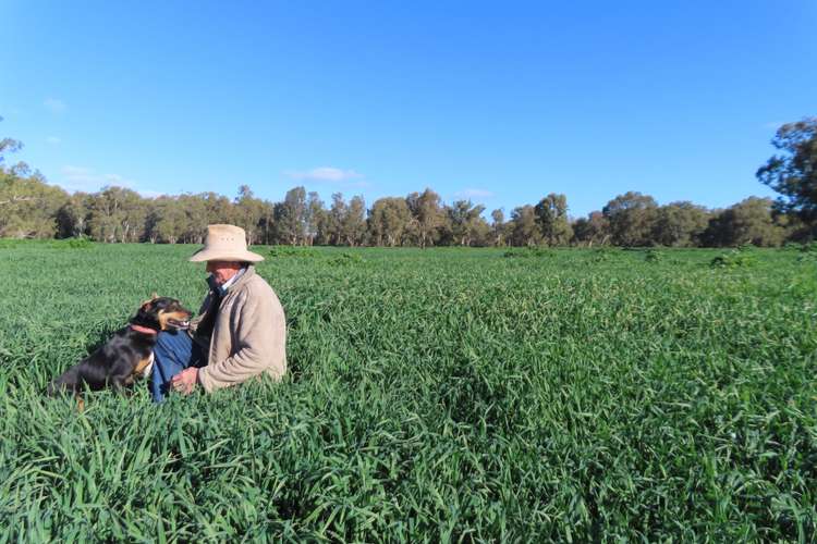 Main view of Homely ruralOther listing, 1655 'Back Micabil' Kiacatoo Road, Condobolin NSW 2877