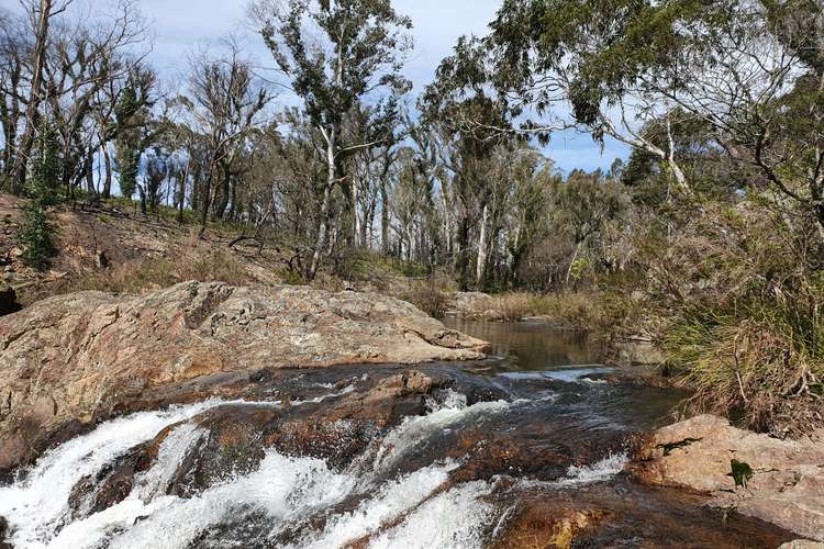 Main view of Homely ruralOther listing, 52 McRaes Road, Monga via, Braidwood NSW 2622