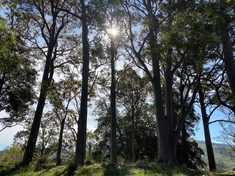 Sixth view of Homely rural property listing, Lot 2 Carrowbrook Road, Singleton NSW 2330