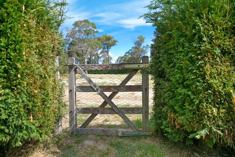 Sixth view of Homely residentialLand listing, Lot 2 Sunninghill Avenue, Burradoo NSW 2576