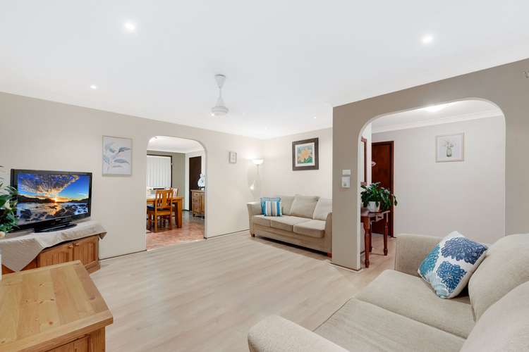 Third view of Homely house listing, 6 Ray Place, Minto NSW 2566