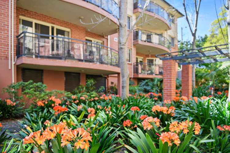 Main view of Homely unit listing, 53/298-312 Pennant Hills Road, Pennant Hills NSW 2120